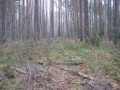 PB070683