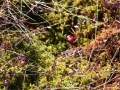 IMG_8627
