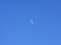 IMG_8704