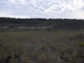 _DSC0083