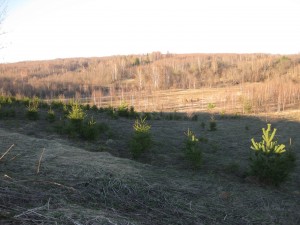 IMG_1631
